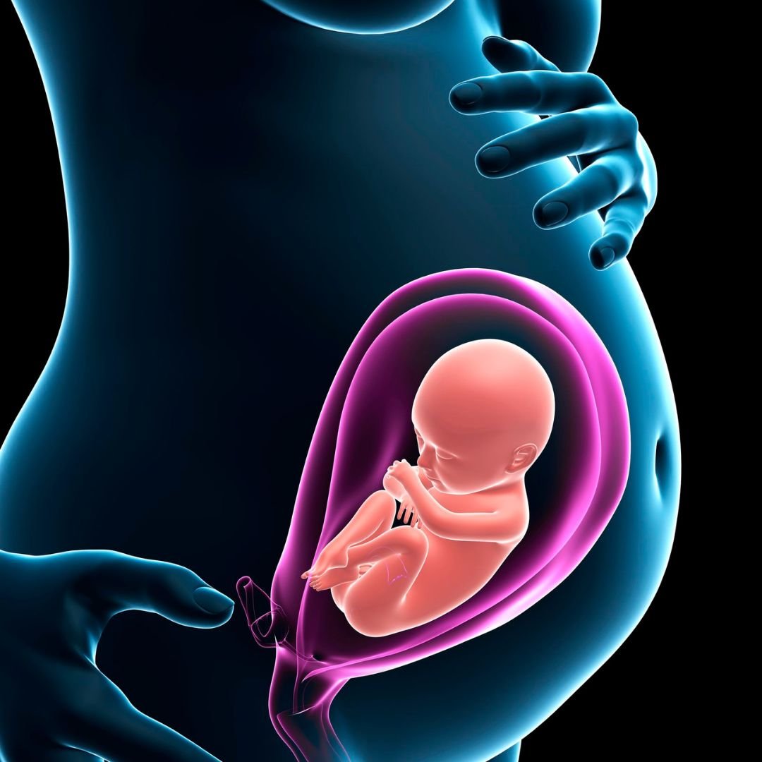 Post Pre Pregnancy