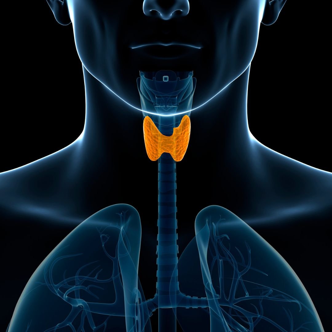 Thyroid Management